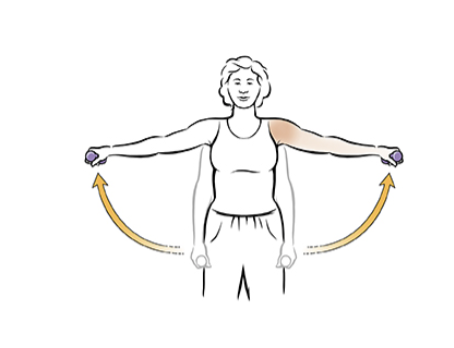 shoulder pain exercises - shoulder abductor
